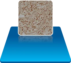 site icon