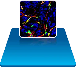 site icon
