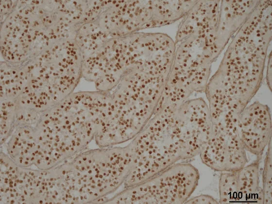 biomakers image